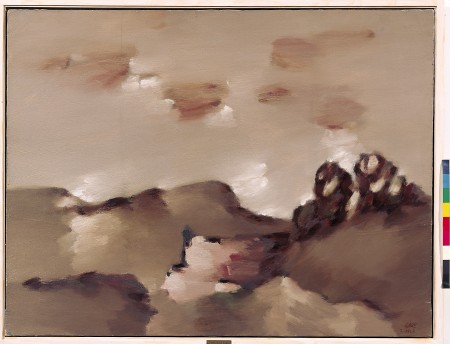 LAGO RIVERA
