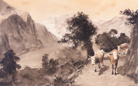 Confurco