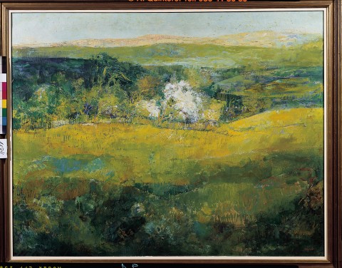 Paisaje