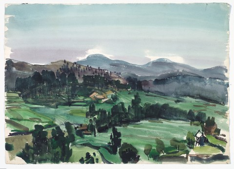 Paisaje