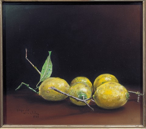MESA CON LIMONES